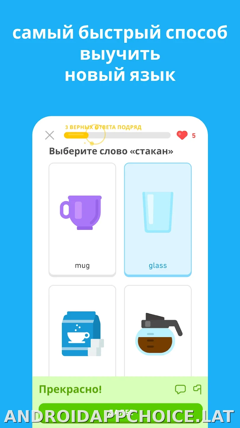 Дуолинго скриншот 5